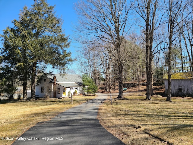 view of road with driveway