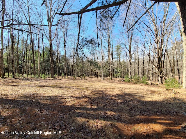 view of local wilderness with a forest view