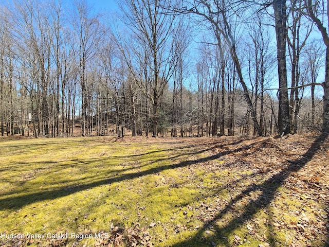 view of yard featuring a wooded view