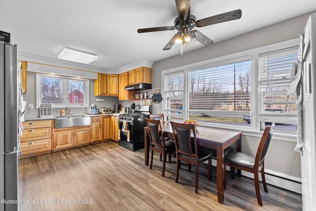 kitchen with a sink, a ceiling fan, light wood-style flooring, under cabinet range hood, and stainless steel appliances