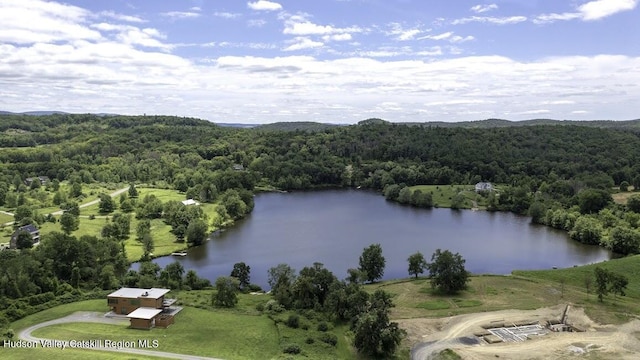 81 Sam Hill Rd, Craryville, NY 12521 - photo 5