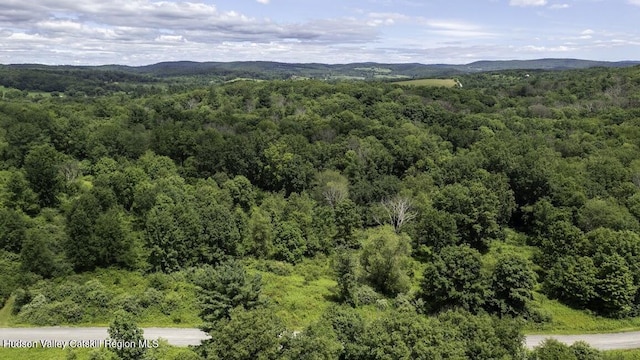 81 Sam Hill Rd, Craryville, NY 12521 - photo 3