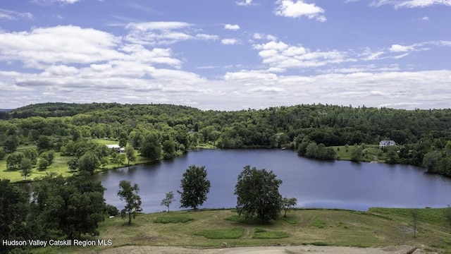 81 Sam Hill Rd, Craryville, NY 12521 - photo 1