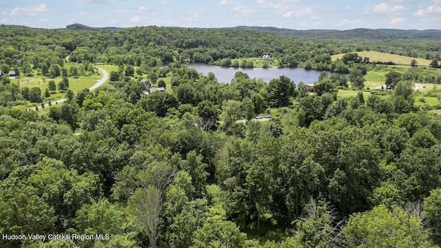 81 Sam Hill Rd, Craryville, NY 12521 - photo 4