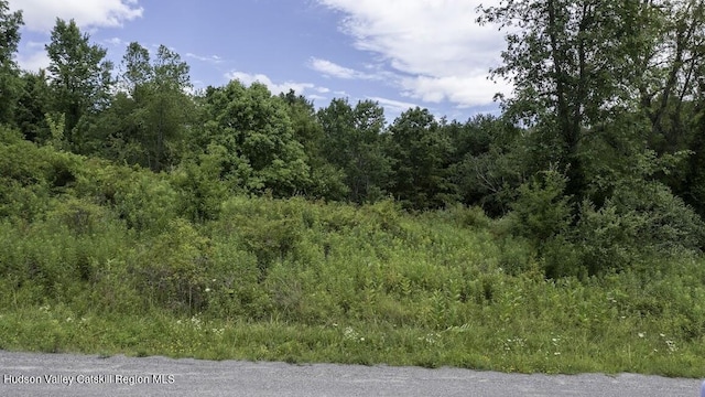 81 Sam Hill Rd, Craryville, NY 12521 - photo 2