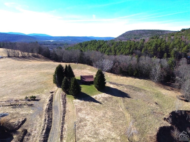 142 Pangman Rd, Gilboa, NY 12076 - mountain view featuring a forest and rural landscape