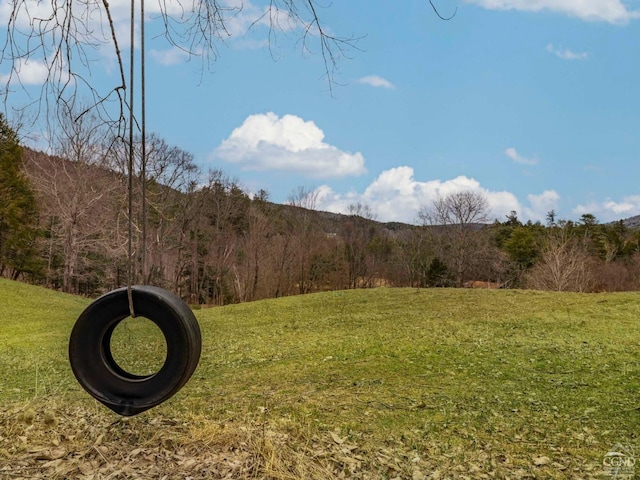 142 Pangman Rd, Gilboa, NY 12076 - view of grassy yard with a wooded view