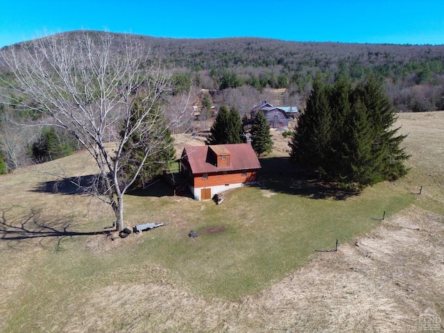 142 Pangman Rd, Gilboa, NY 12076 - aerial view of property and surrounding area with a forest