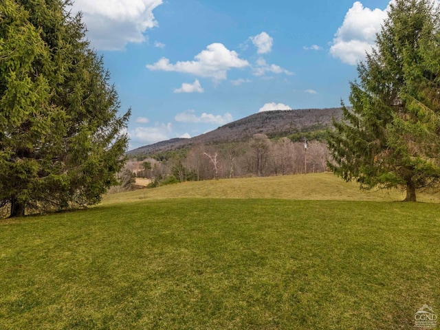 142 Pangman Rd, Gilboa, NY 12076 - mountain view