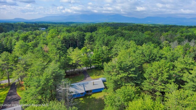 22 Elm Ln, Greenville, NY 12083 - photo 2