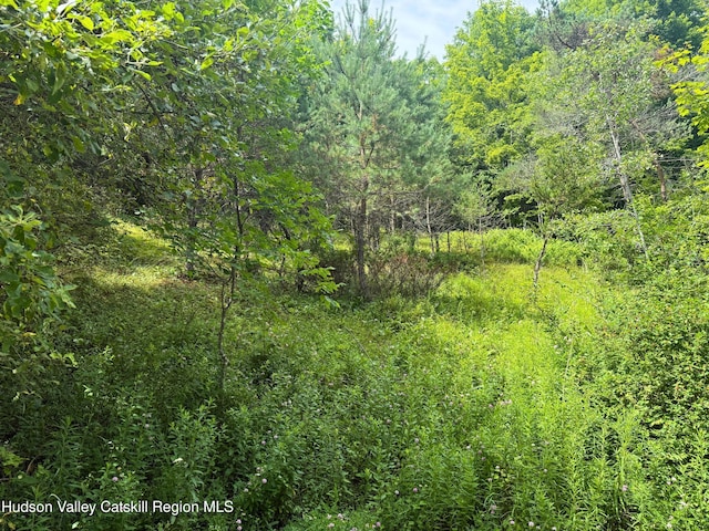 1021 County Highway 36, Margaretville, NY 12455 - photo 32