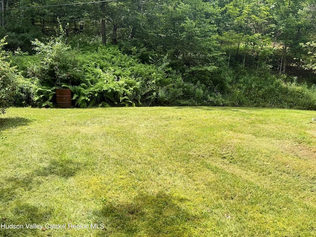 1021 County Highway 36, Margaretville, NY 12455 - photo 31