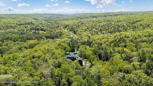 33 Mamoud Hills Rd, Kingston, NY 12401 - photo 12
