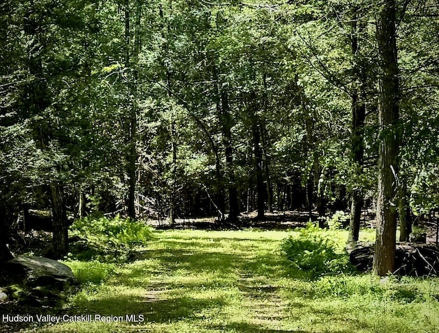 33 Mamoud Hills Rd, Kingston, NY 12401 - photo 10