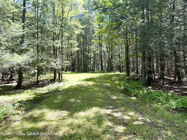 33 Mamoud Hills Rd, Kingston, NY 12401 - photo 7