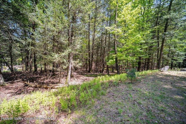 33 Mamoud Hills Rd, Kingston, NY 12401 - photo 11