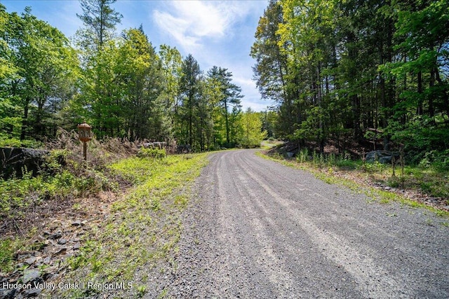 33 Mamoud Hills Rd, Kingston, NY 12401 - photo 3