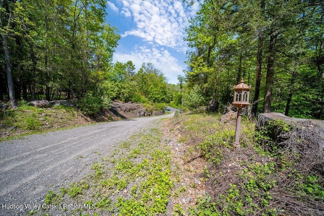 33 Mamoud Hills Rd, Kingston, NY 12401 - photo 5