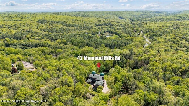 33 Mamoud Hills Rd, Kingston, NY 12401 - photo 1