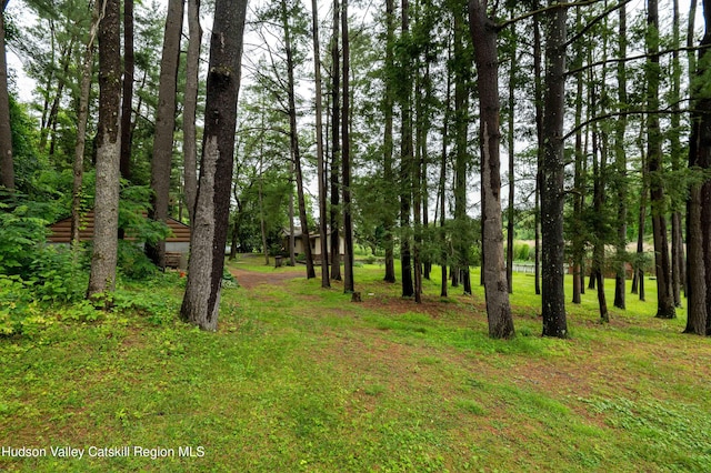 623 Rte 9j, Stuyvesant, NY 12173 - view of yard