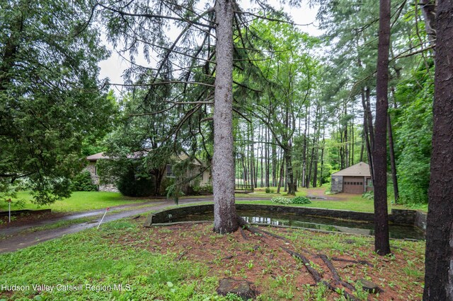 623 Rte 9j, Stuyvesant, NY 12173 - view of yard