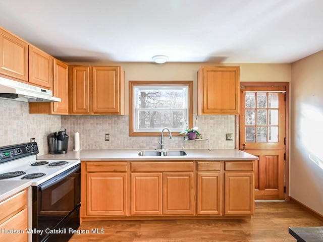 kitchen with white range with electric cooktop, sink, a wealth of natural light, and light hardwood / wood-style flooring