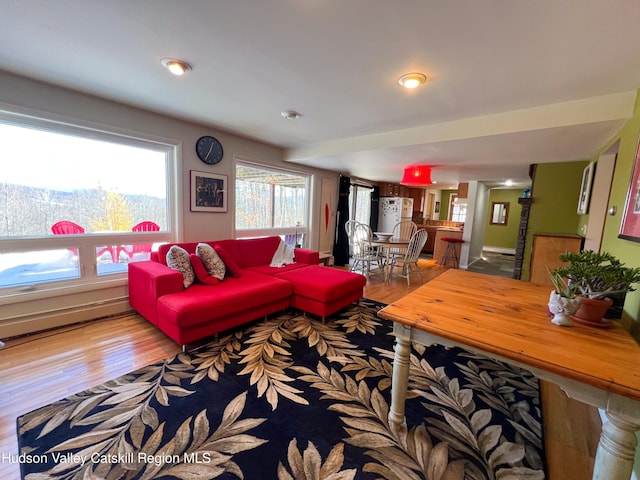 living room with hardwood / wood-style floors