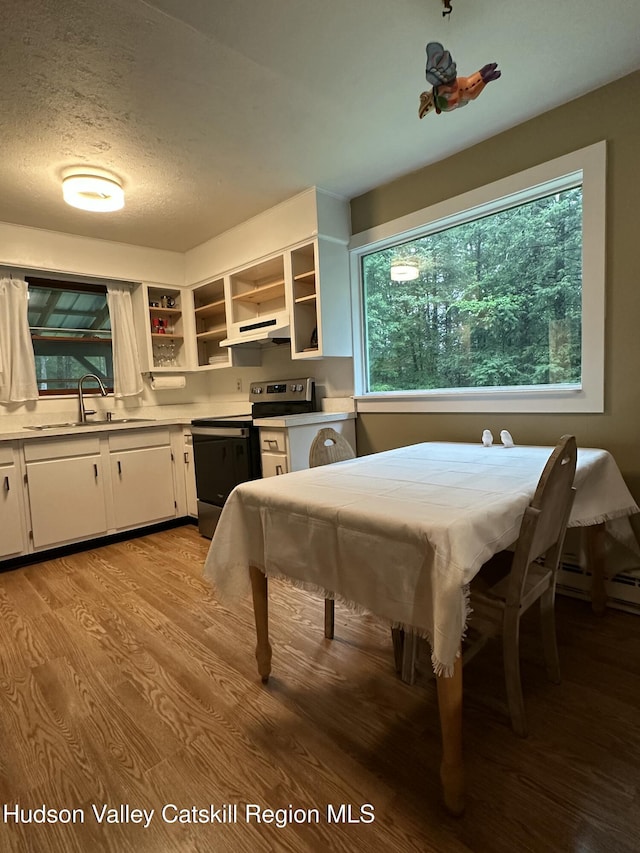 20 Kelder Rd, Olivebridge, NY 12461 - kitchen featuring light wood-style floors, stainless steel range with electric cooktop, white cabinetry, open shelves, and under cabinet range hood