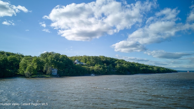 70 Floyd Ackert Rd, West Park, NY 12493 - water view featuring a heavily wooded area
