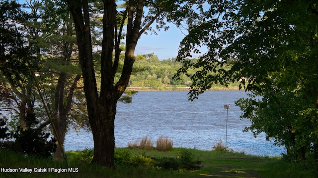 70 Floyd Ackert Rd, West Park, NY 12493 - water view featuring a heavily wooded area