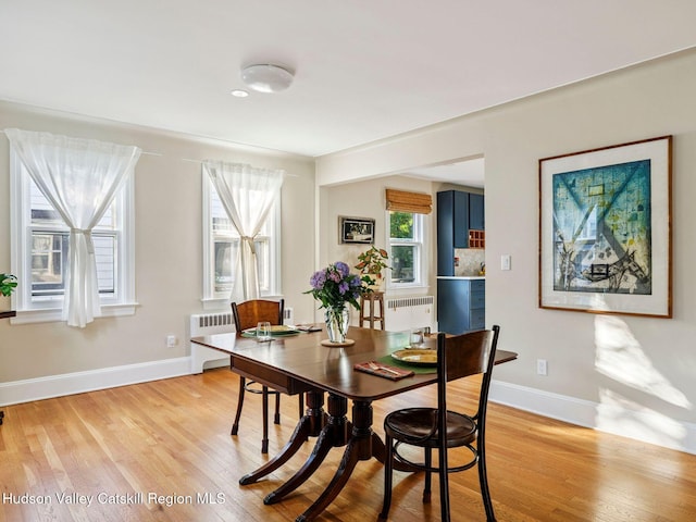 90 Emerson St, Kingston, NY 12401 - dining space featuring radiator and light wood-type flooring