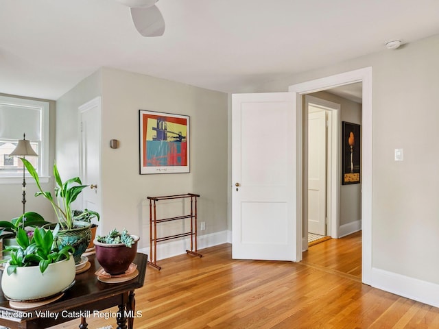 90 Emerson St, Kingston, NY 12401 - hall with light wood finished floors and baseboards