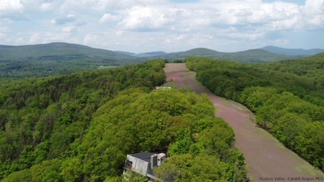 aerial view with a mountain view