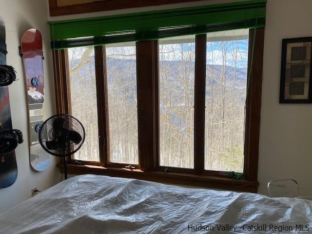 bedroom featuring multiple windows