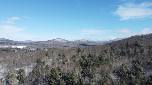 view of mountain feature