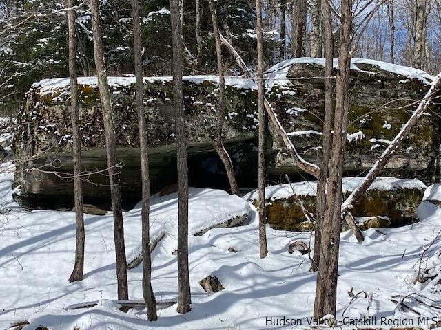 view of snowy landscape