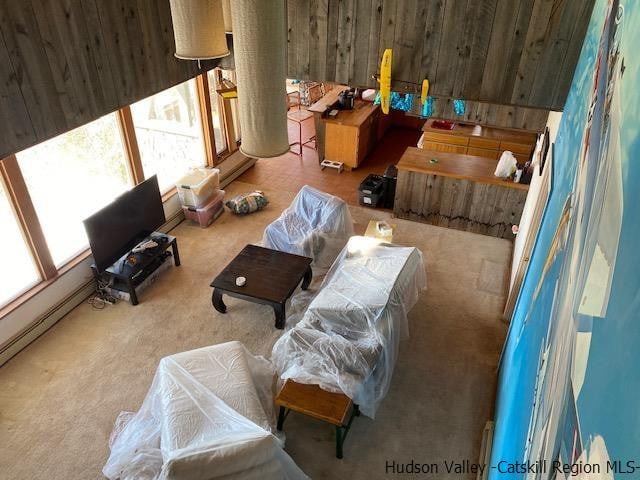 living area featuring plenty of natural light, wood walls, light colored carpet, and baseboard heating