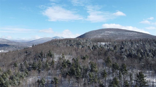 property view of mountains