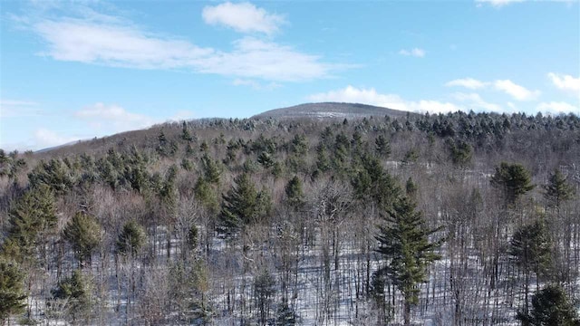 property view of mountains