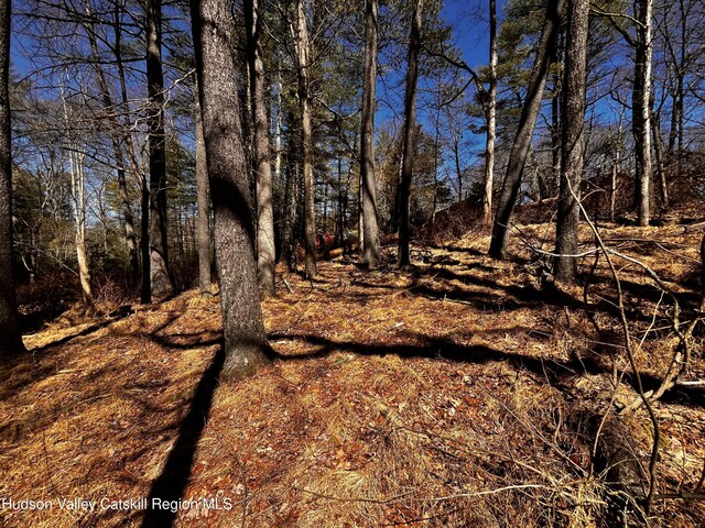 Tbd Glasco Turnpike, Saugerties, NY 12477