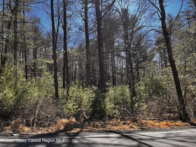 Tbd Glasco Turnpike, Saugerties, NY 12477