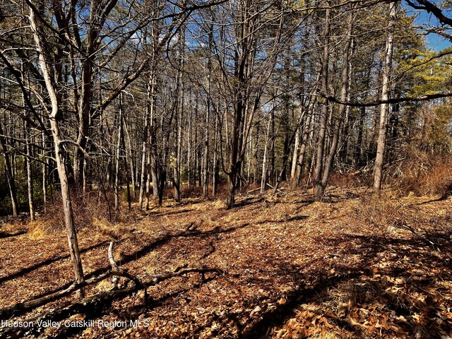 Tbd Glasco Turnpike, Saugerties, NY 12477