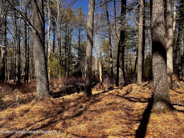 Tbd Glasco Turnpike, Saugerties, NY 12477