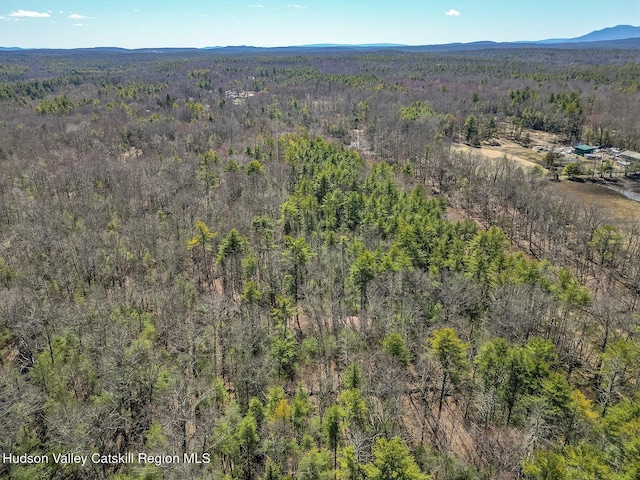 Tbd Glasco Turnpike, Saugerties, NY 12477