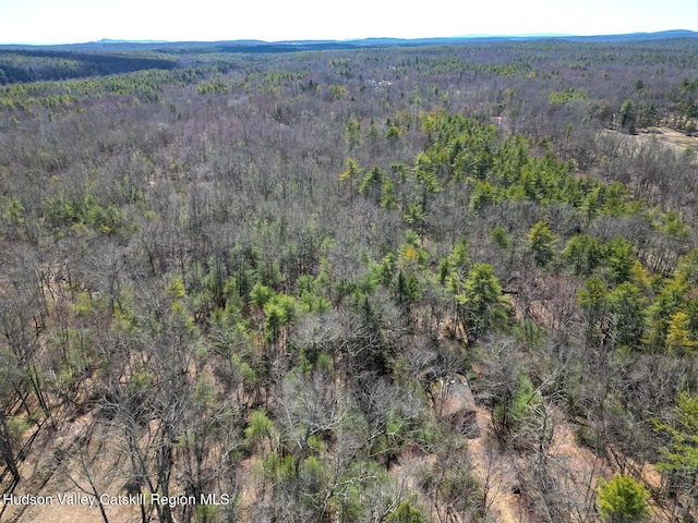 Tbd Glasco Turnpike, Saugerties, NY 12477