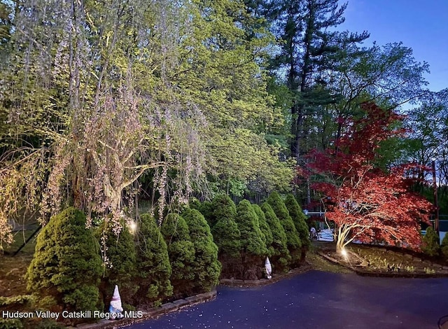 390 County Route 22, Hudson, NY 12534 - photo 32