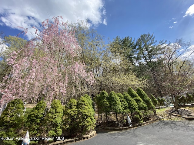 390 County Route 22, Hudson, NY 12534 - photo 12