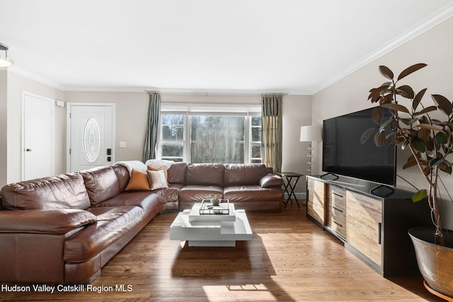 living room with ornamental molding and hardwood / wood-style flooring