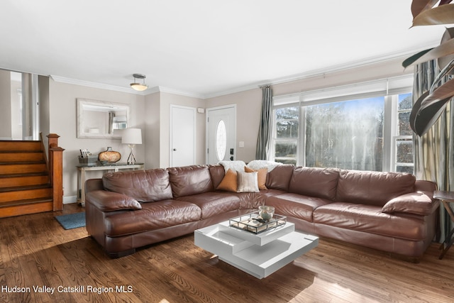 living room featuring ornamental molding and hardwood / wood-style flooring