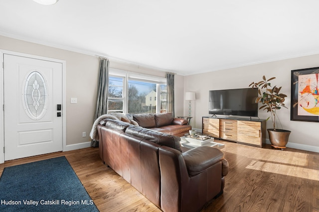 living room featuring wood-type flooring and crown molding